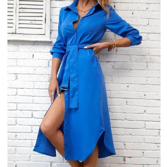 Blue Preppy Women Button Front Belted Shirt Dress - Picture 1 of 8